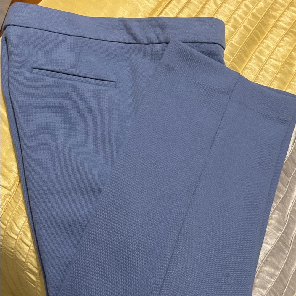 Ann Taylor Cropped Colony Blue Pants - Picture 8 of 8